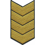 Нарукавный знак 20 лет выслуги МО России, цветной